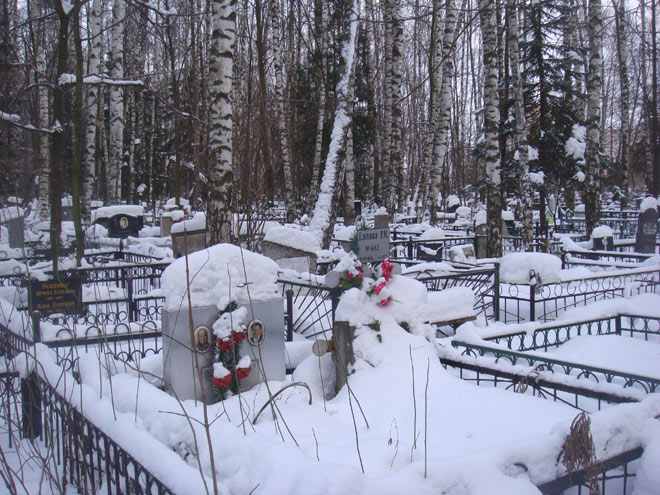Химкинское кладбище, 15.1.11, фото Лидии Нарцевой