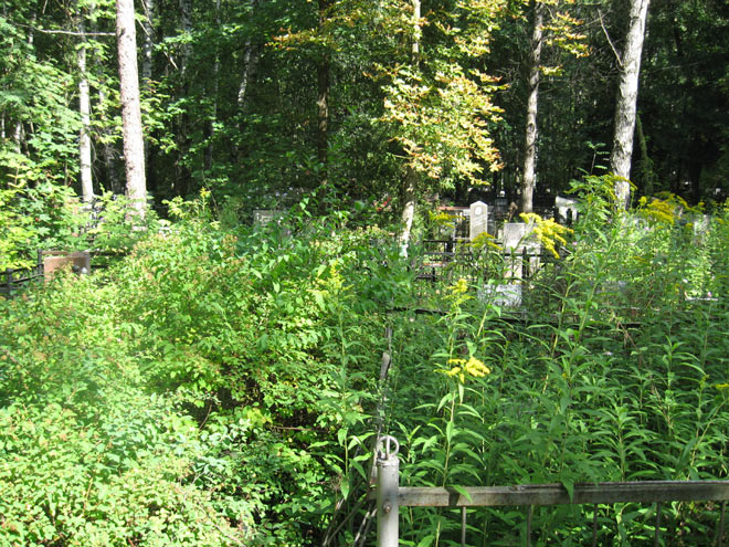 Химкинское кладбище, 27 августа 2011 г.