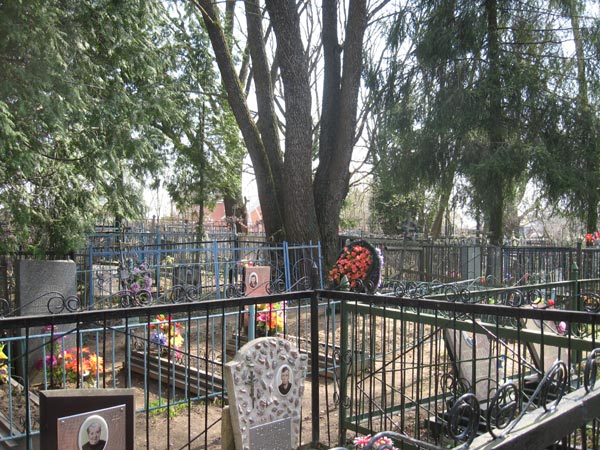 Кладбище в д.Рузино, фото Двамала
