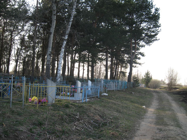 Cелихово, вид на кладбище с дороги, фото Двамала