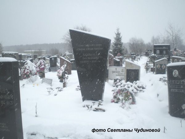 Щербинское кладбище, панорама 36 участка, фото Светланы Чудиновой