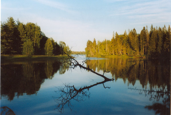 Река Шуя, утро, фото Петра Устинова