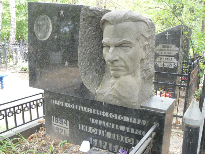 Могила Николая Барабашова, фото Алексея Шабанова
