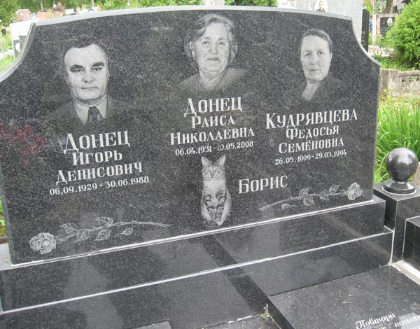 Домодедовское кладбище, надгробие с котиком, фото Двамала